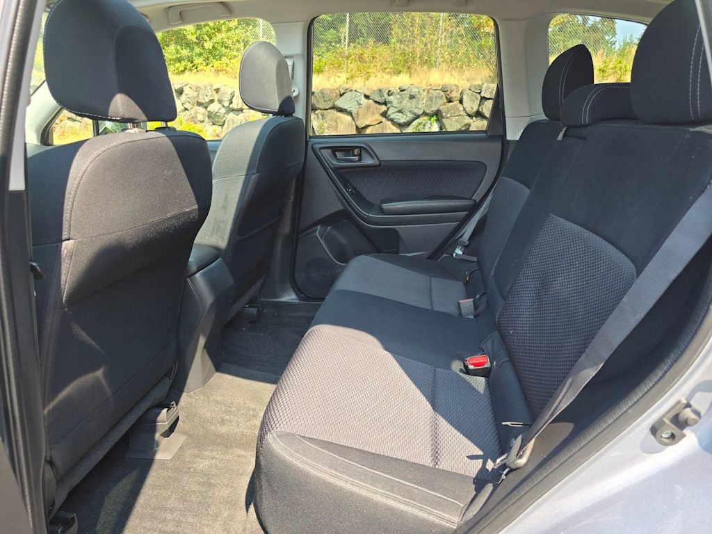 Thumbnail: 2017 Subaru Forester - 13