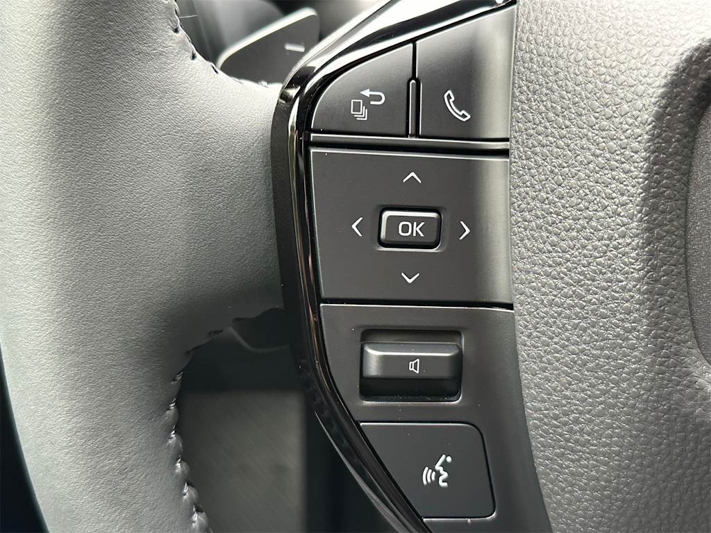2025 Subaru Solterra Premium 24