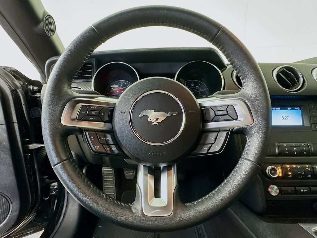 Thumbnail: 2019 Ford Mustang - 12