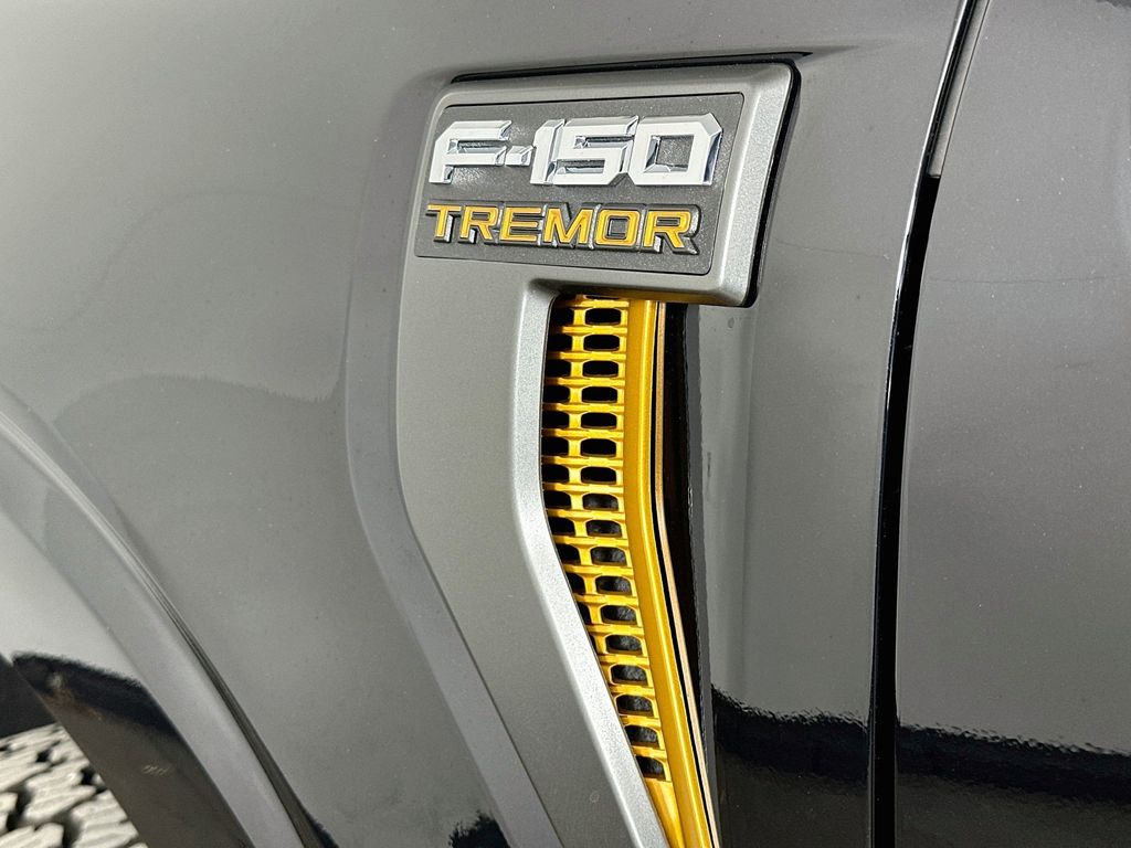 Thumbnail: 2025 Ford F-150 - 19