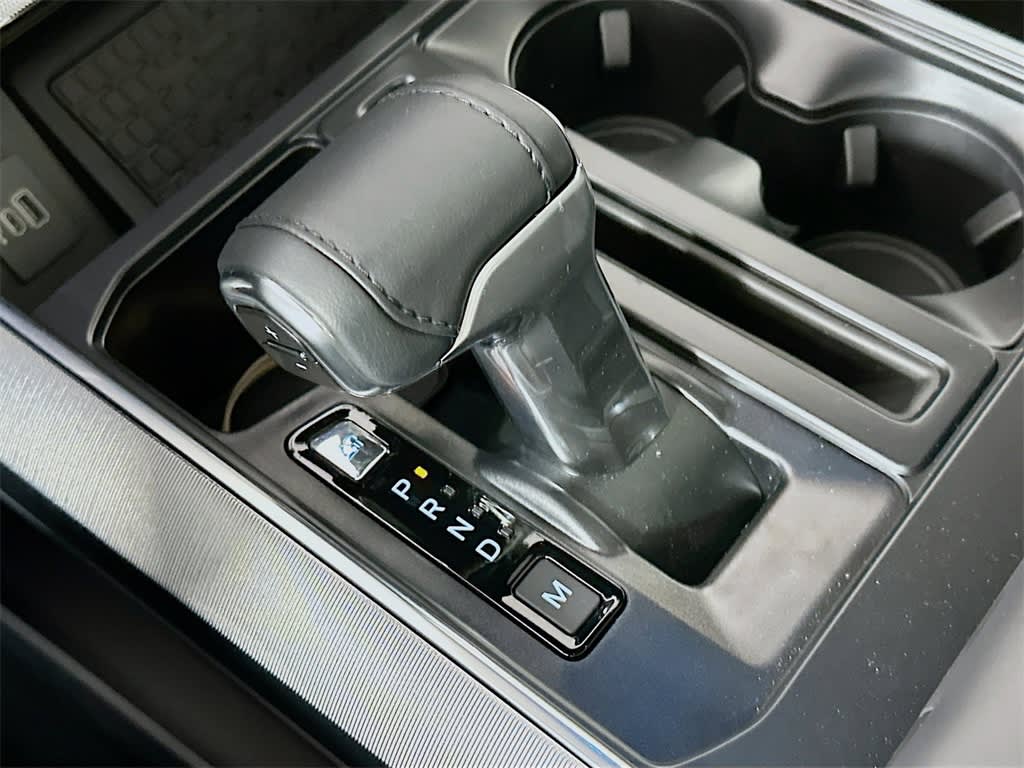 2025 Ford F-150 Platinum 17