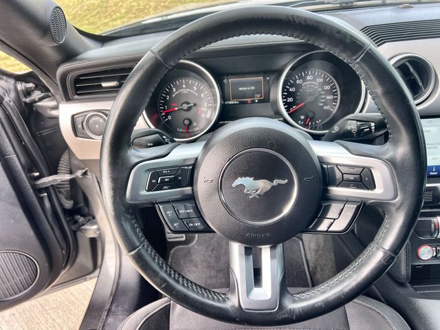 Thumbnail: 2018 Ford Mustang - 12