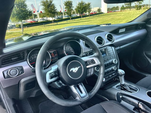 Thumbnail: 2017 Ford Mustang - 9