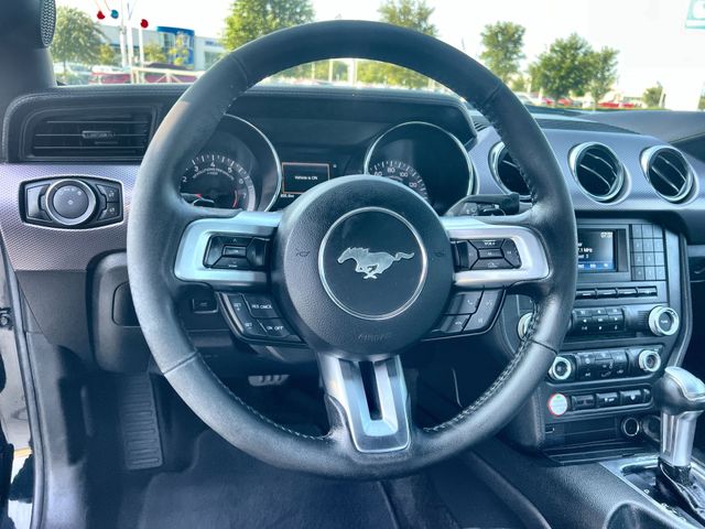 Thumbnail: 2017 Ford Mustang - 13
