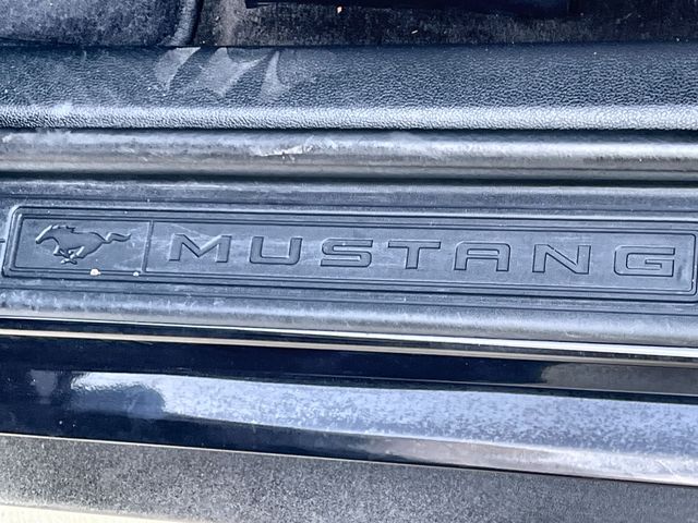 Thumbnail: 2017 Ford Mustang - 20