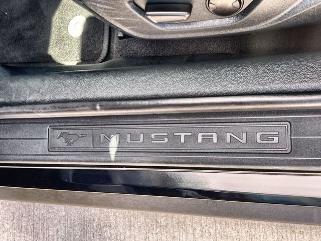 Thumbnail: 2023 Ford Mustang - 17