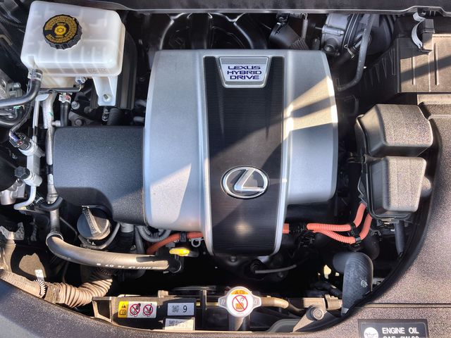 Thumbnail: 2022 Lexus RX - 9