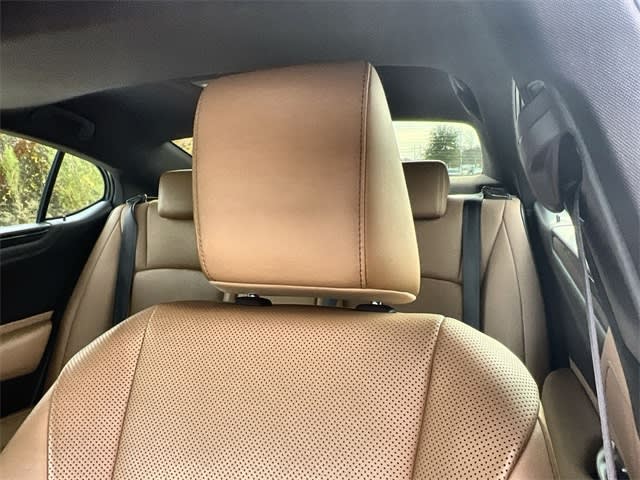 Thumbnail: 2019 Lexus ES - 25