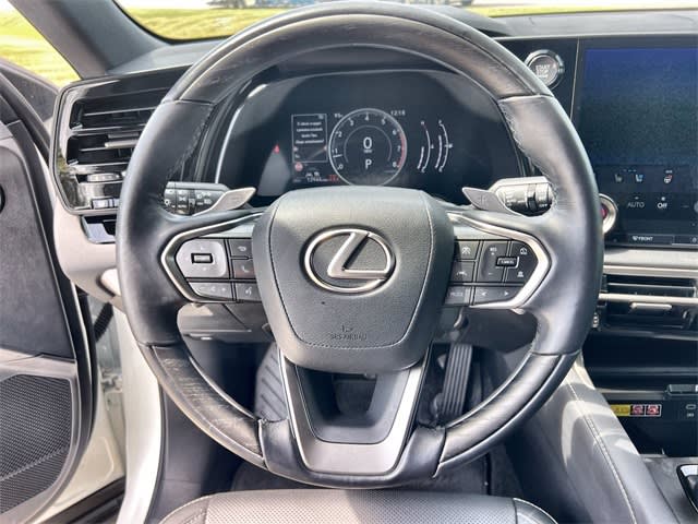 Thumbnail: 2024 Lexus RX - 10