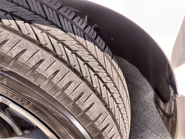 Thumbnail: 2019 Kia Stinger - 23