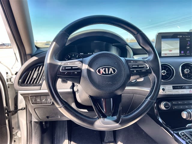 Thumbnail: 2019 Kia Stinger - 14