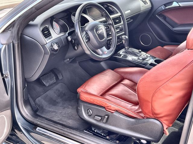 Thumbnail: 2009 Audi S5 - 10