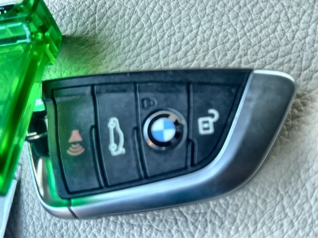 Thumbnail: 2016 BMW X1 - 18