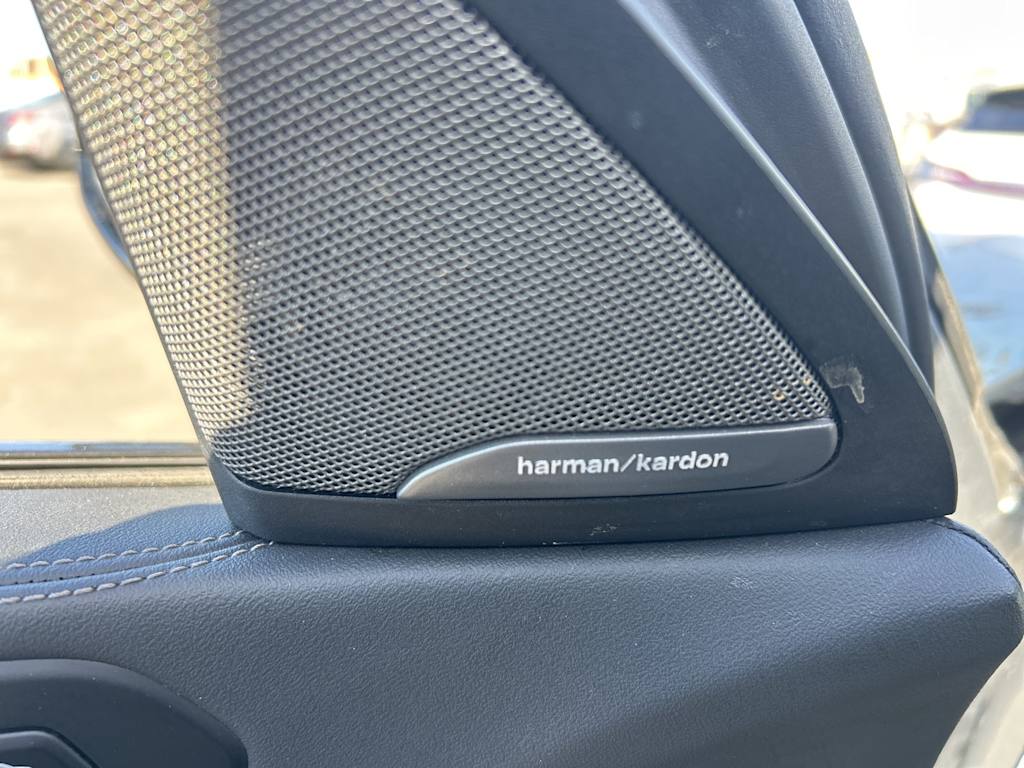 Thumbnail: 2025 BMW X6 - 10