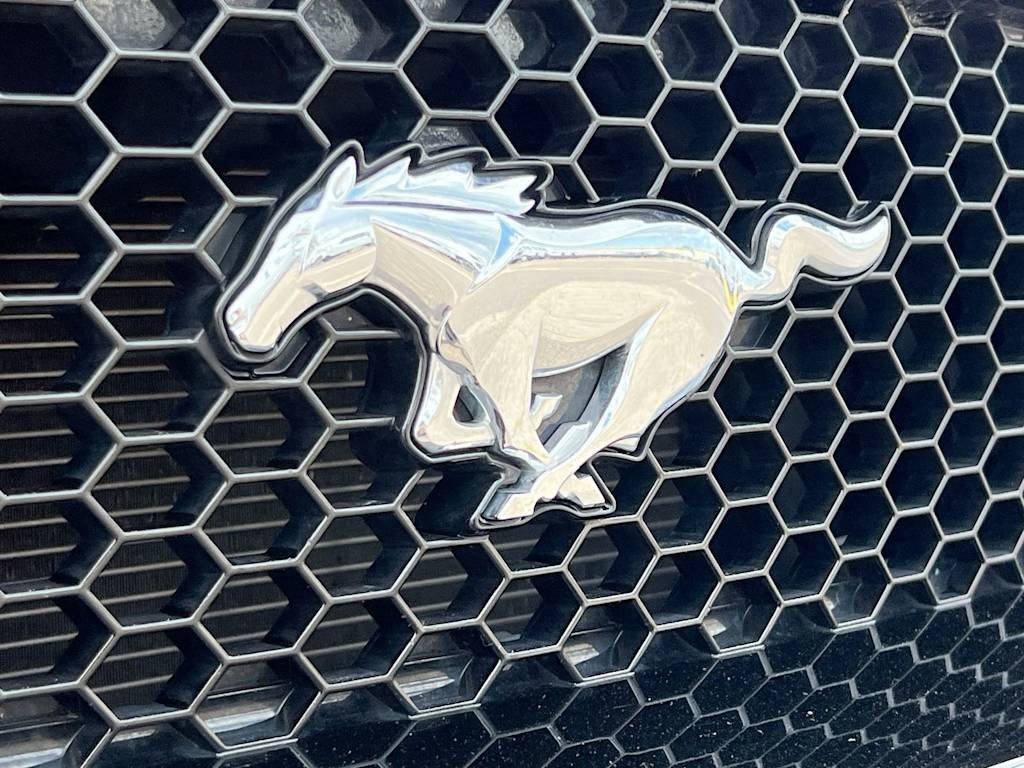 Thumbnail: 2019 Ford Mustang - 7