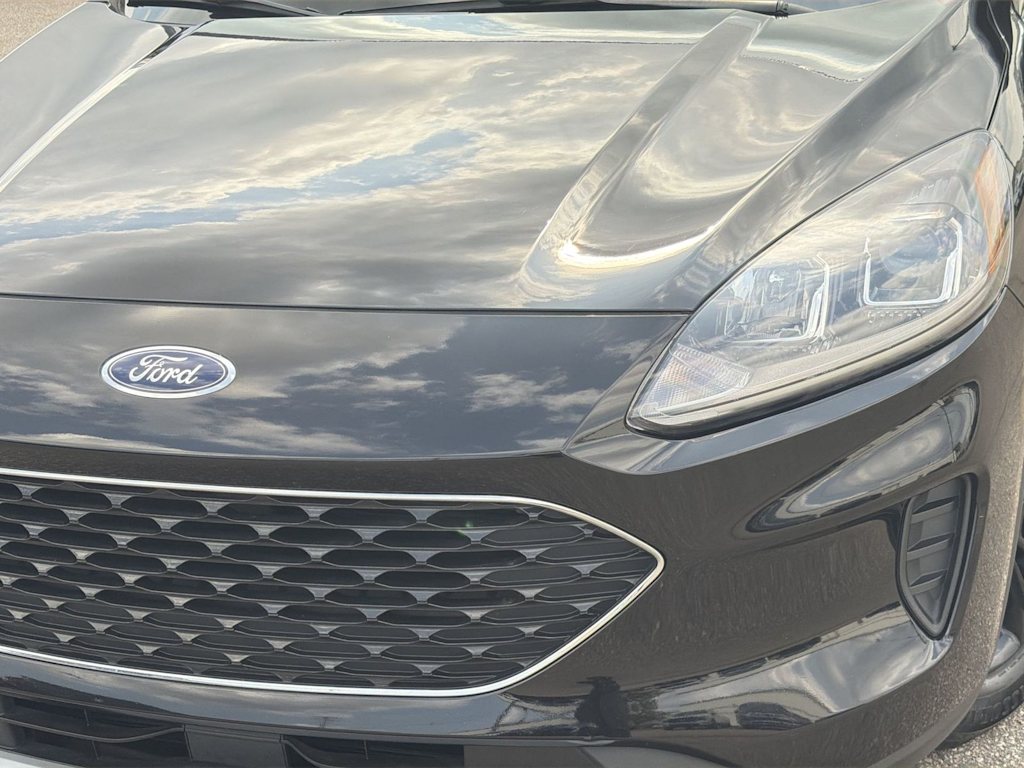 Thumbnail: 2021 Ford Escape - 22