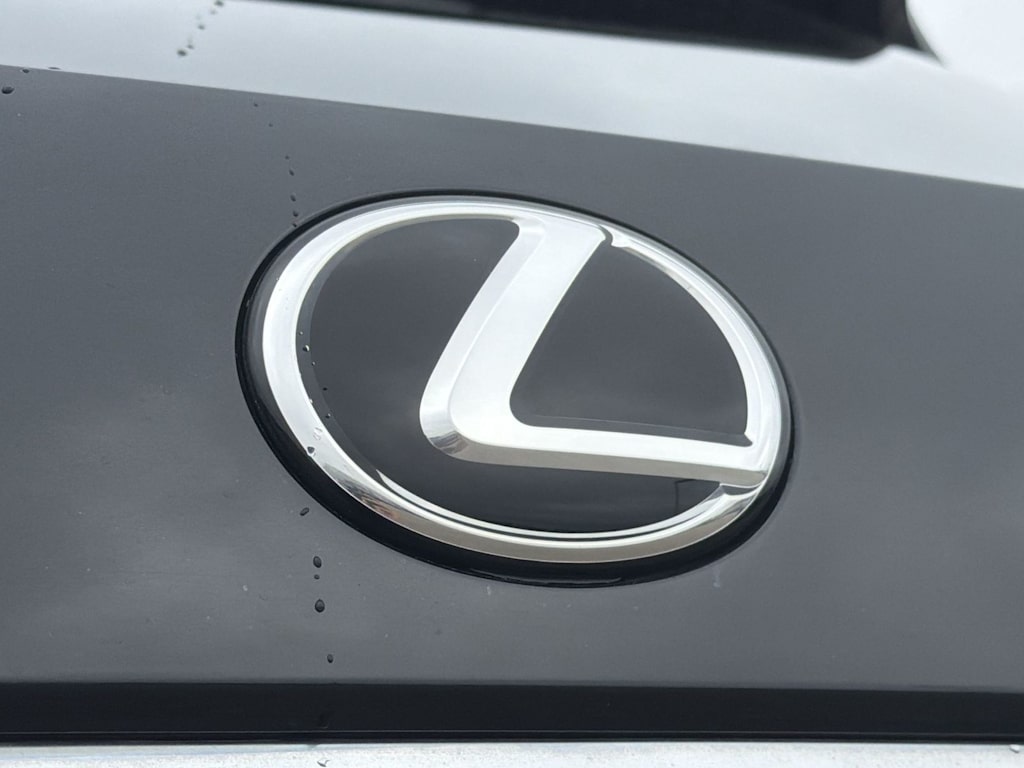 Thumbnail: 2022 Lexus RX - 25