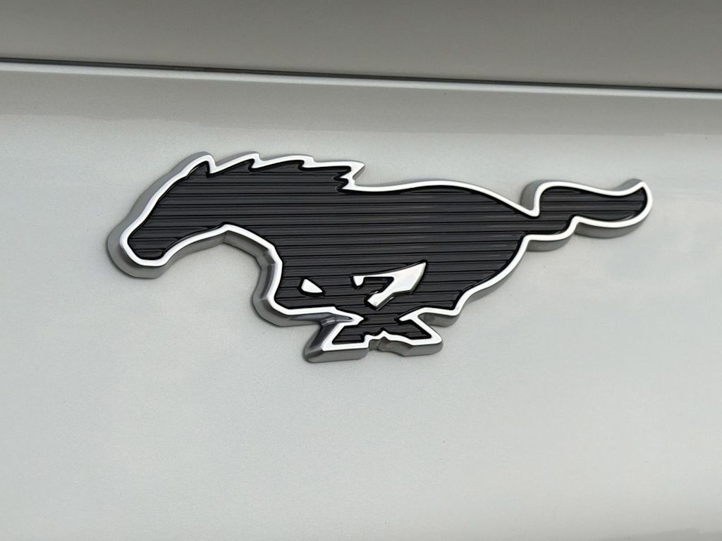 Thumbnail: 2023 Ford Mustang Mach-E - 24