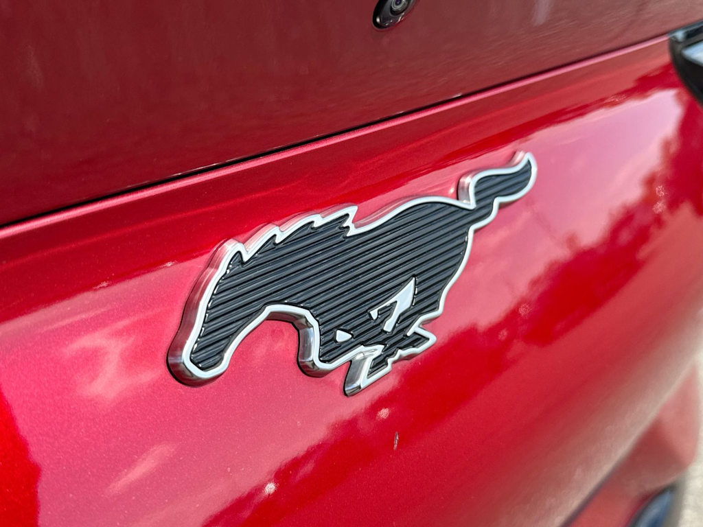 Thumbnail: 2021 Ford Mustang Mach-E - 22