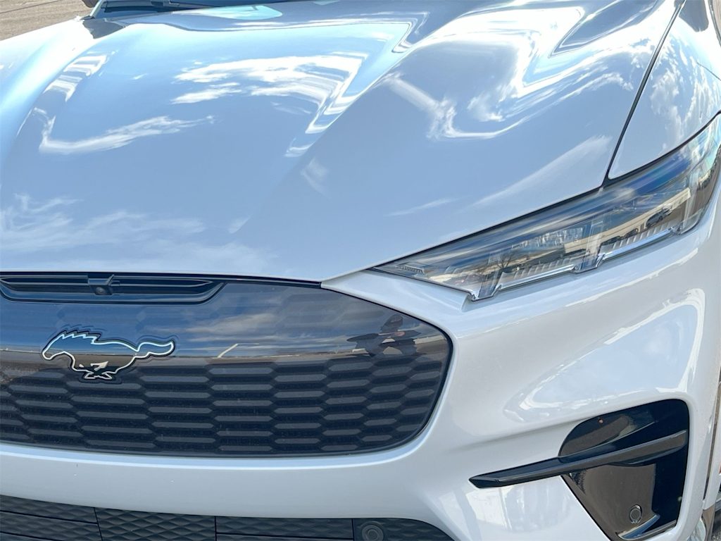 Thumbnail: 2022 Ford Mustang Mach-E - 19