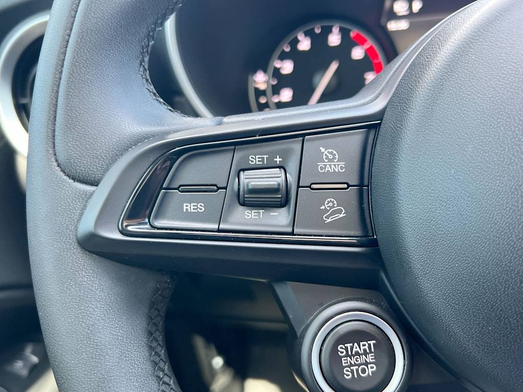 Thumbnail: 2020 Alfa Romeo Stelvio - 28