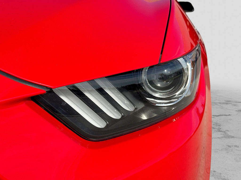Thumbnail: 2016 Ford Mustang - 23