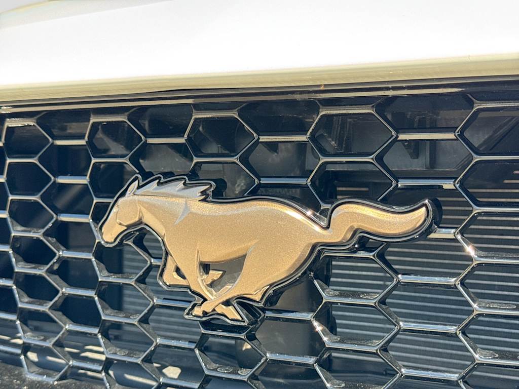 Thumbnail: 2024 Ford Mustang - 7