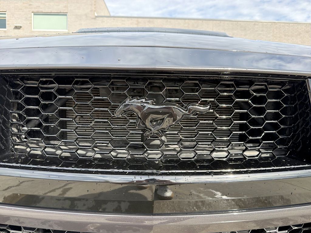 Thumbnail: 2024 Ford Mustang - 19