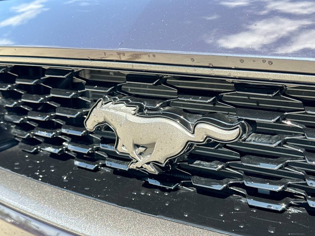 Thumbnail: 2022 Ford Mustang - 23