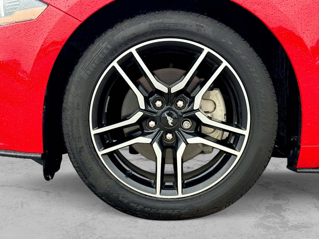 Thumbnail: 2019 Ford Mustang - 8