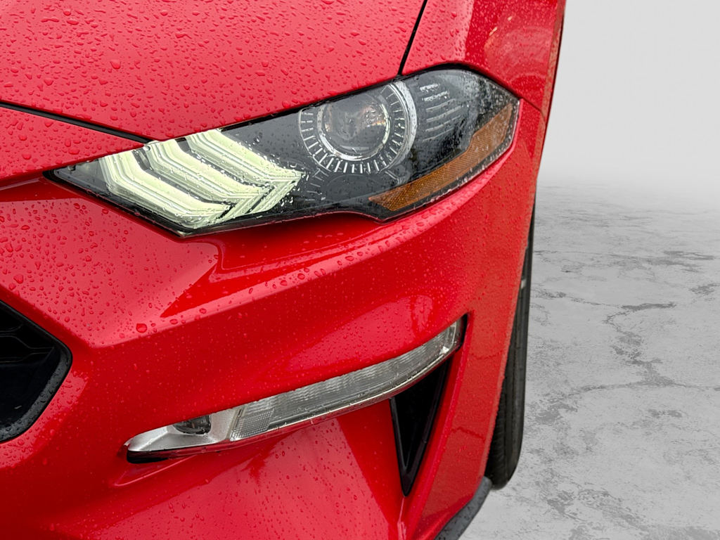 Thumbnail: 2019 Ford Mustang - 23