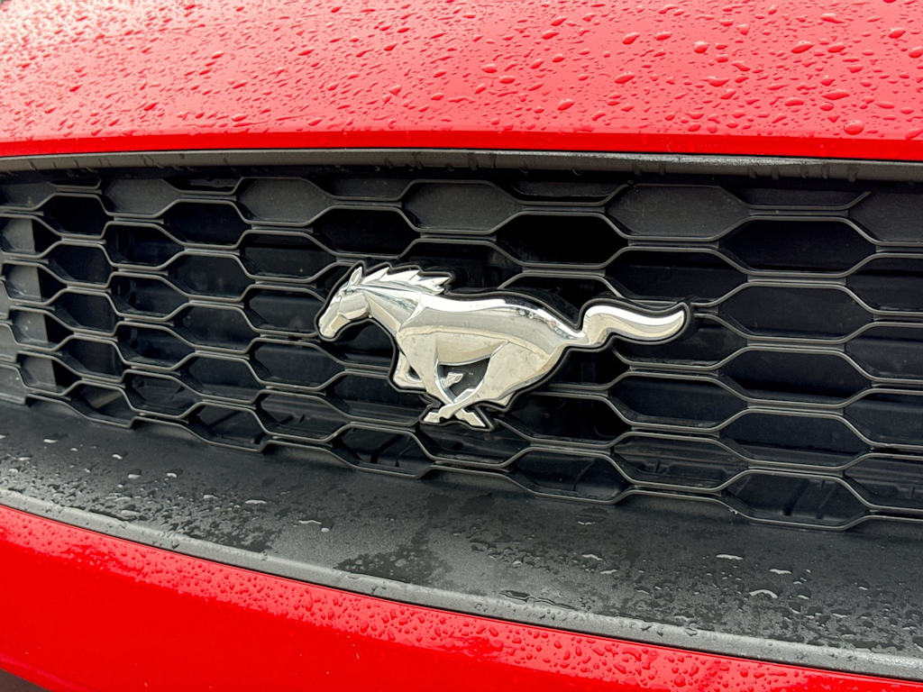 Thumbnail: 2019 Ford Mustang - 7