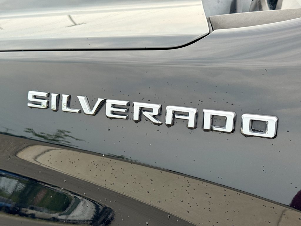 Thumbnail: 2019 Chevrolet Silverado 1500 - 20