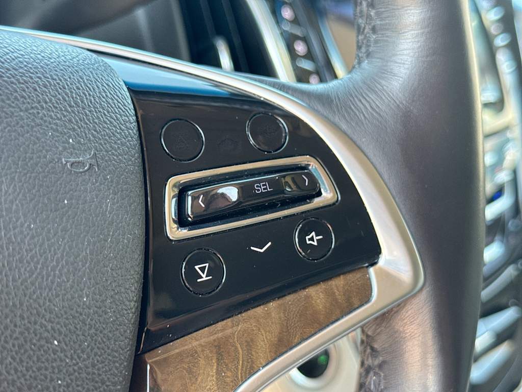 Thumbnail: 2019 Cadillac Escalade - 32