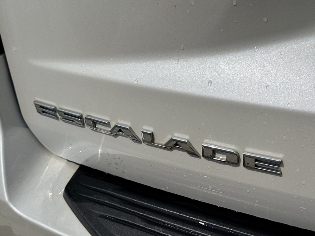 Thumbnail: 2022 Cadillac Escalade - 22