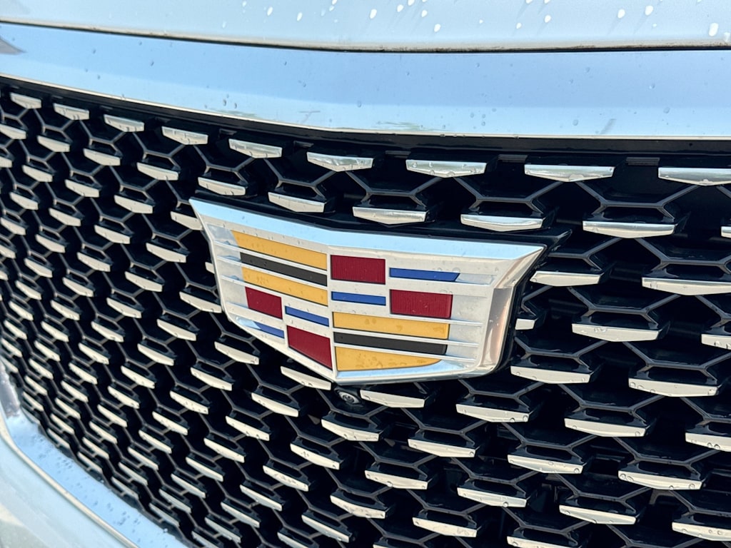 Thumbnail: 2022 Cadillac Escalade - 7