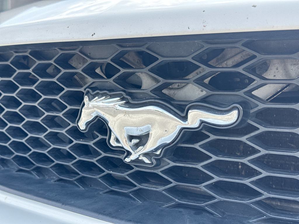 Thumbnail: 2008 Ford Mustang - 7