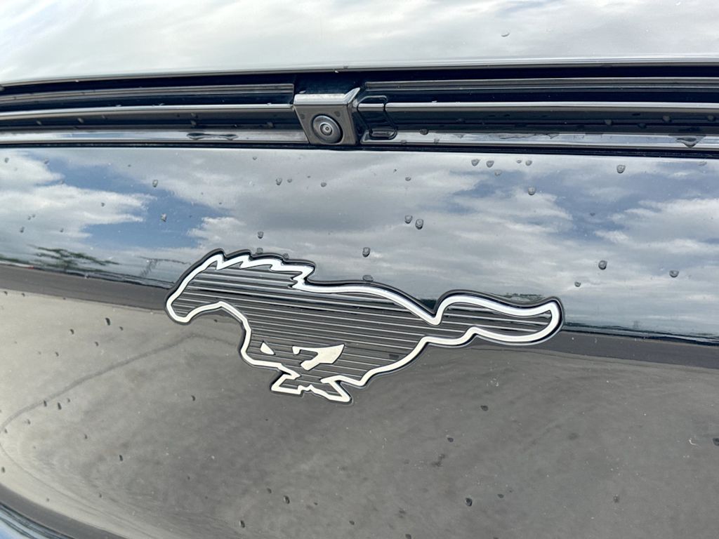 Thumbnail: 2024 Ford Mustang Mach-E - 6