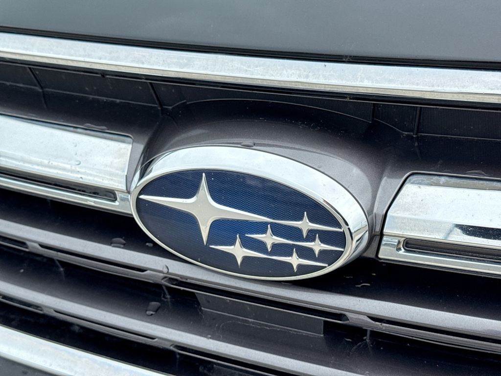 Thumbnail: 2019 Subaru Outback - 6