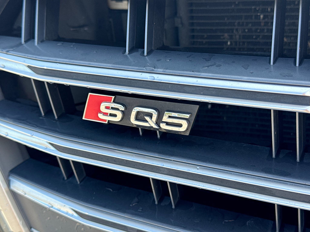 Thumbnail: 2018 Audi SQ5 - 24