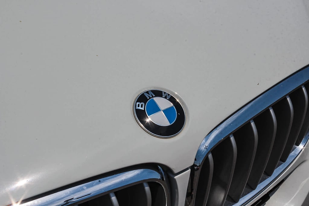 Thumbnail: 2018 BMW X5 - 6