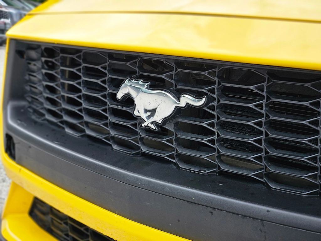 2024 Ford Mustang  6