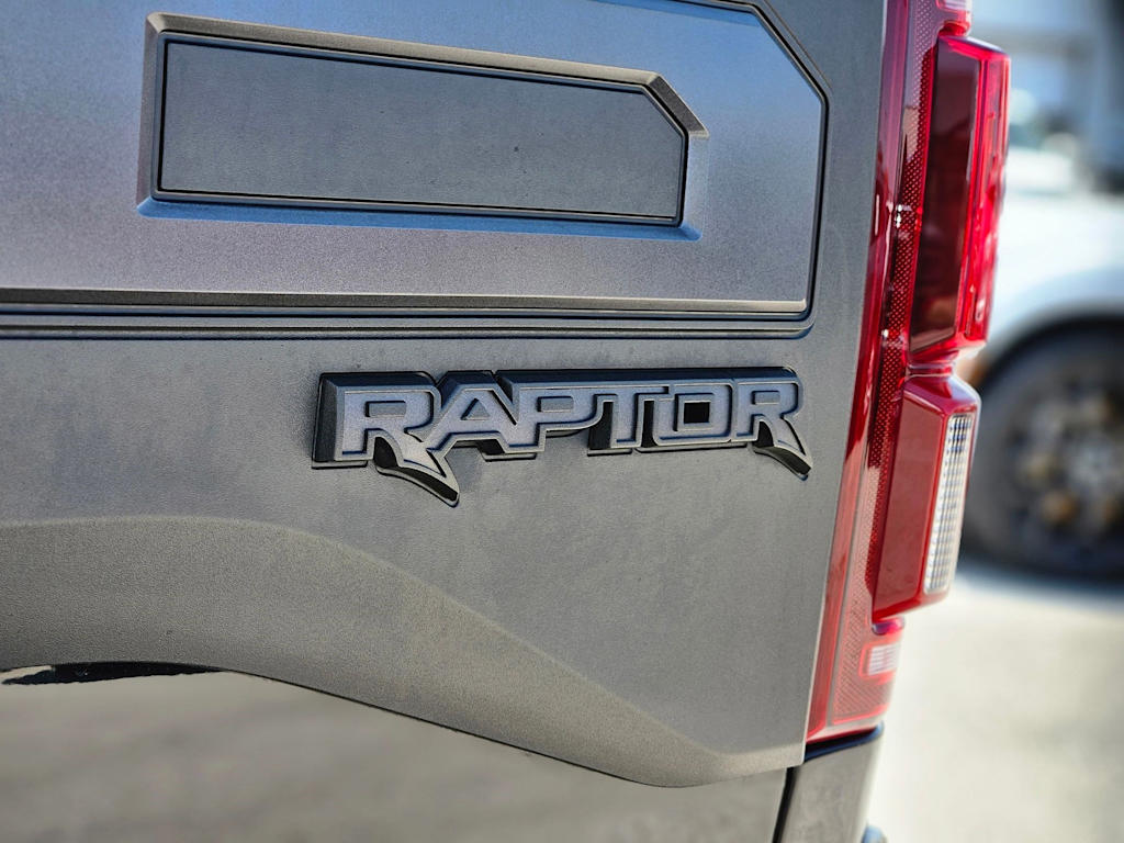2020 Ford F-150 Raptor 7
