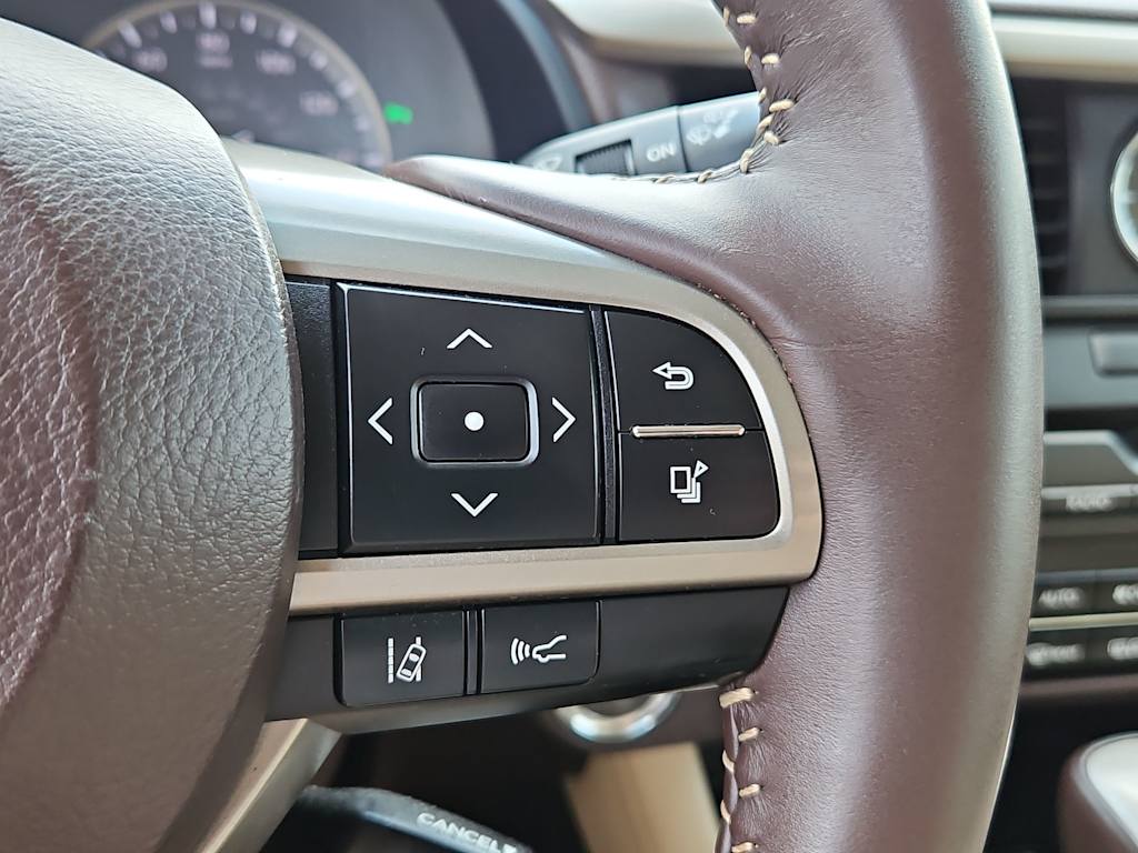 Thumbnail: 2017 Lexus RX - 29