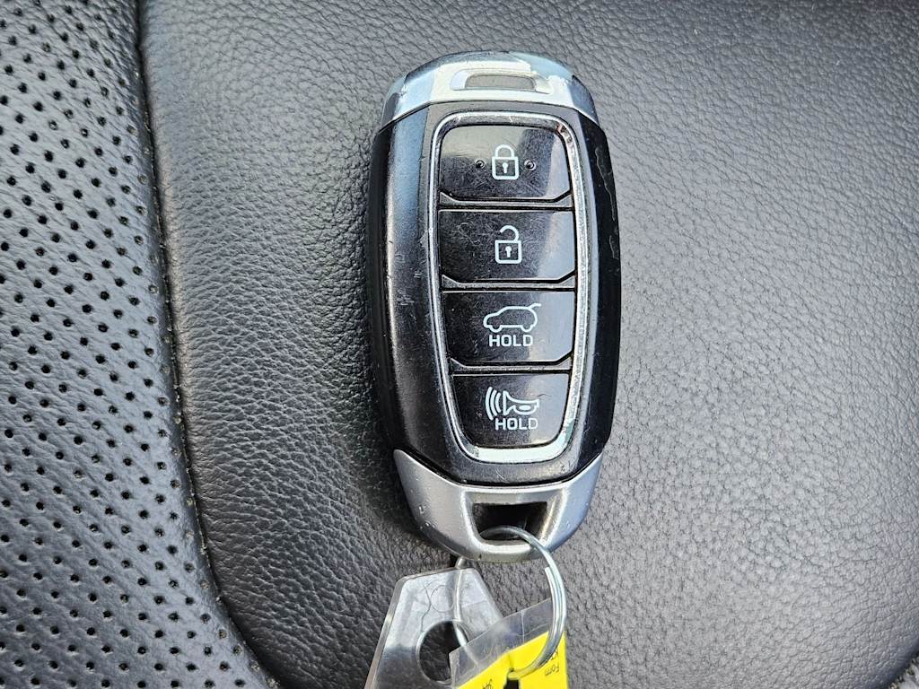 Thumbnail: 2020 Hyundai Santa Fe - 19