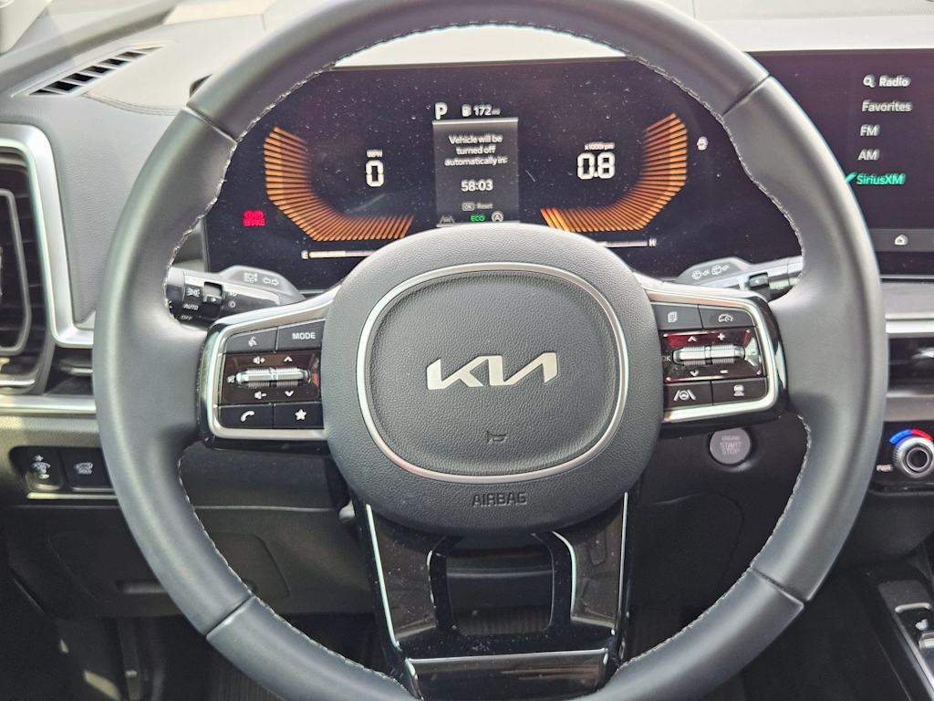 Thumbnail: 2025 Kia Sorento - 12