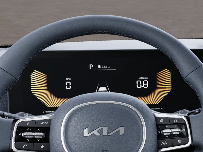 2025 Kia Carnival EX 12