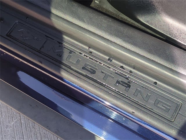 2019 Ford Mustang  21