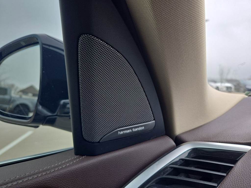 Thumbnail: 2019 BMW X7 - 35