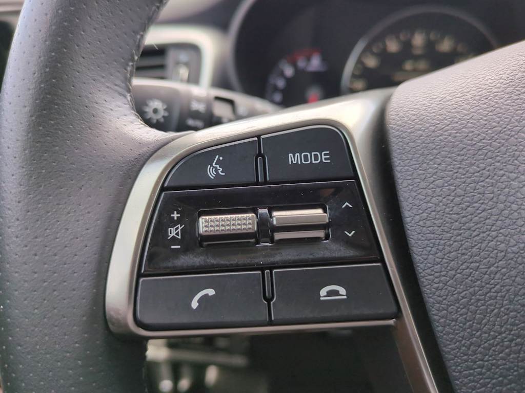 2019 Kia Sorento SX 30